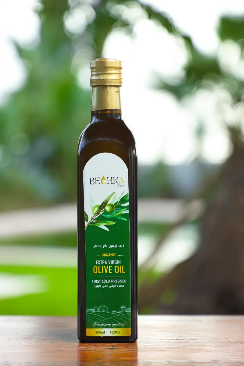 The Olive Harvest Season in Sfax